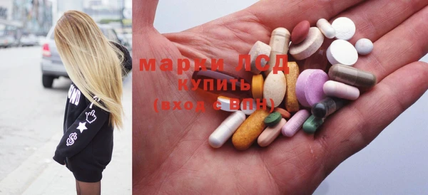 гидра Ельня