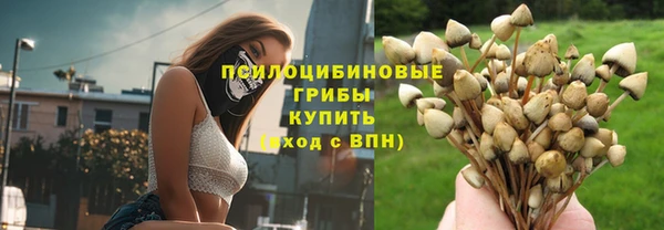 гашик Дмитриев