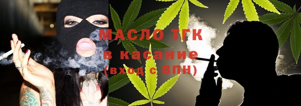 гидра Ельня