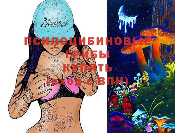 гашик Дмитриев