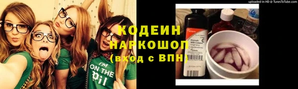 гидра Ельня