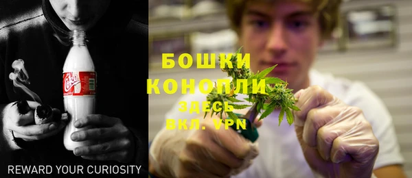 гашик Дмитриев