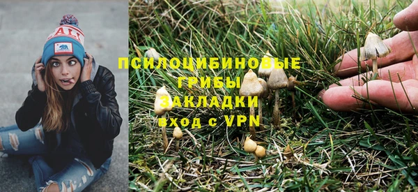 гашик Дмитриев