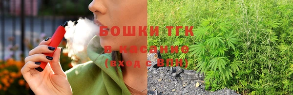 гашик Дмитриев