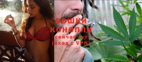 гидра Ельня