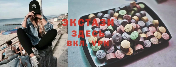 гидра Ельня