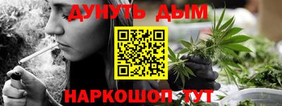 гашик Берёзовский
