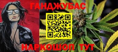 гашик Берёзовский