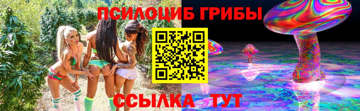 Псилоцибиновые грибы MAGIC MUSHROOMS Малоярославец